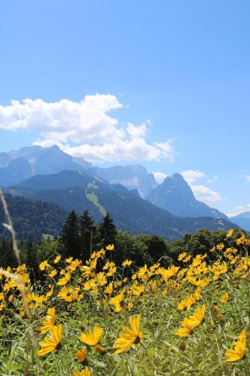 Pfeiffer Alm Am Sonnenhang Mit Blick Auf Die Zugspitze 가르미슈파르텐키르헨 외부 사진